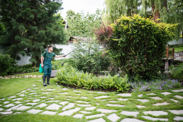 Best Pest Control Near Me  in Cartersville, GA