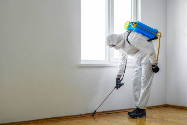 Best Pest Removal Services  in Cartersville, GA
