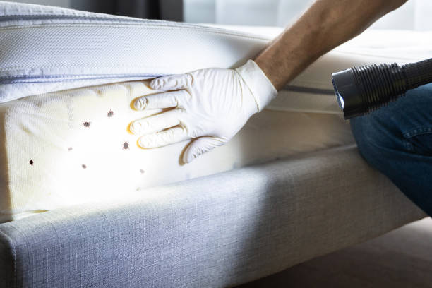 Best Affordable Pest Control Services  in Cartersville, GA
