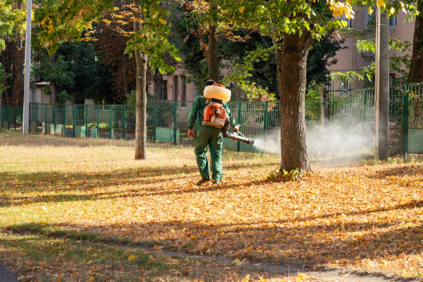 Pest Control for Restaurants in Cartersville, GA