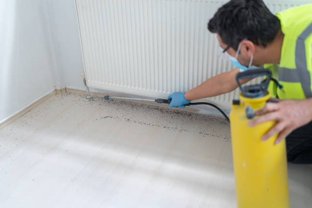 Wasp Removal Services in Cartersville, GA