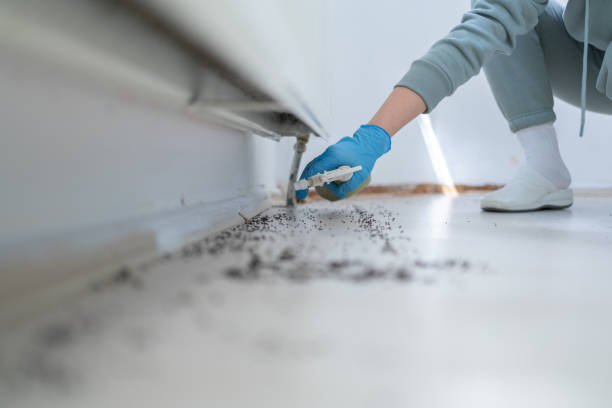 Best Bed Bug Extermination  in Cartersville, GA